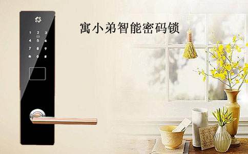 對于公寓鎖，真插芯真的比假插芯更加安全嗎？